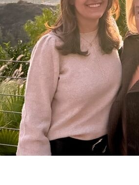 Gerard Darel Classic Crewneck Puff-Sleeve Sweater in Light Pink